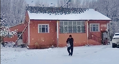 Ağrılı vatandaş 39 yıldır güvercinleri elleriyle besliyor (Videolu Haber)