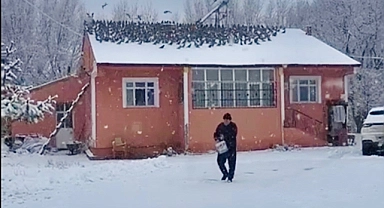 Ağrılı vatandaş 39 yıldır güvercinleri elleriyle besliyor (Videolu Haber)