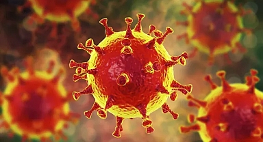 Almanya'da Korona aşısı yarattığı zarar nedeniyle 467 kişiye tazminat ödendi