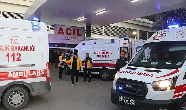 Balon balığı yiyen 7 kişi zehirlendi