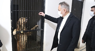 Başkan Karadoğan, Hayvan Bakım Evini Ziyaret Etti