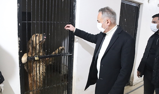 Başkan Karadoğan, Hayvan Bakım Evini Ziyaret Etti