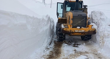 Bitlis'te kar nedeniyle kapanan yollar tek tek açıldı