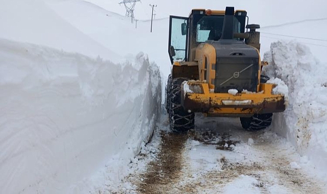 Bitlis'te kar nedeniyle kapanan yollar tek tek açıldı