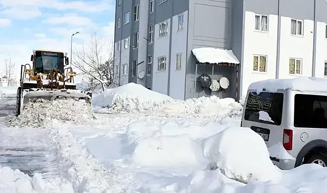 Bitlis'te kardan kapanan 265 köy yolundan 100'ü ulaşıma açıldı