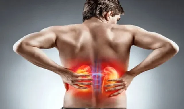 Böbrek Taşı Nasıl Oluşur? Tedavisi Nedir?