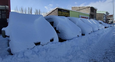 Çaldıran'da kar kalınlığı 47 santimetreyi buldu, araçlar kara gömüldü