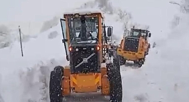 Çığ Yüksekova-Şemdinli kara yolunu ulaşıma kapattı