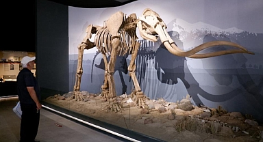 Dev mamut iskeleti görenleri hayrete düşürüyor