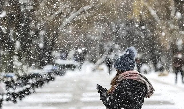 Doğu Anadolu'da Kar Yağışı Başladı