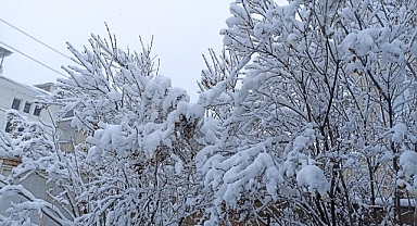 Erciş'te kar esareti