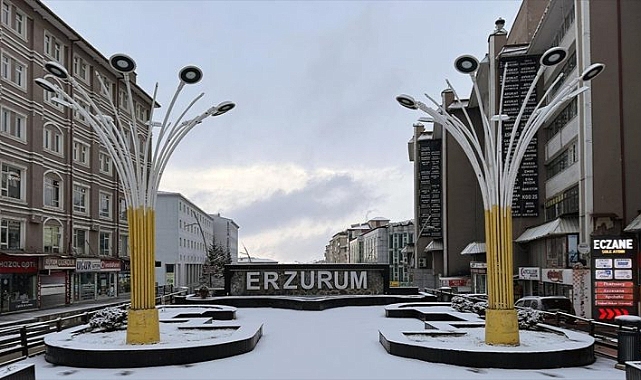 Erzurum, Ardahan, Ağrı ve Tunceli'de kar yağışı etkili oldu