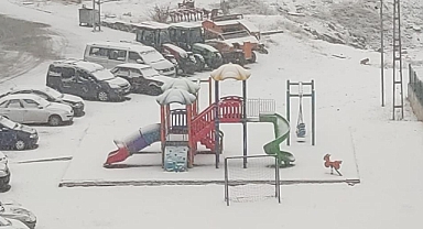 Erzurum'da kar yağışı etkili oldu