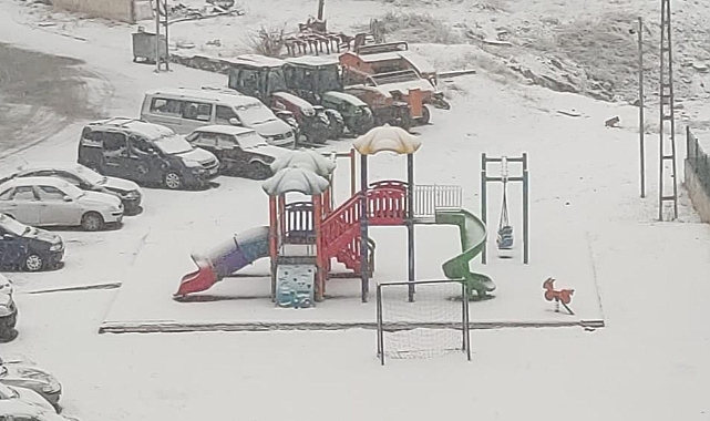 Erzurum'da kar yağışı etkili oldu