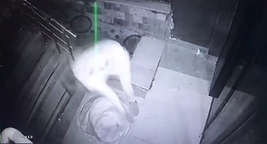 Hasarlı binadaki elektrik kabloları çalan hırsız güvenlik kamerasına yakalandı