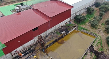 Hatay'da depodan sızan 50 ton zeytinyağı araziye aktı