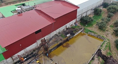 Hatay'da depodan sızan 50 ton zeytinyağı araziye aktı