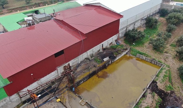 Hatay'da depodan sızan 50 ton zeytinyağı araziye aktı