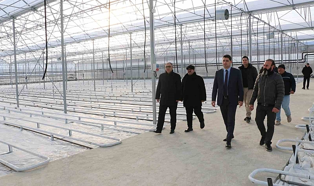 Jeotermal ısıtmalı topraksız serada üretim Şubat'ta başlayacak