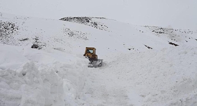 Kar kalınlığının 2 metreyi bulduğu Tatvan'da 25 köy yolu ulaşıma kapandı