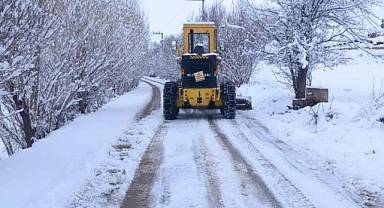Kar Van'ı etkisi altına almaya devam ediyor: 303 yerleşim yerinin yolu ulaşıma kapandı