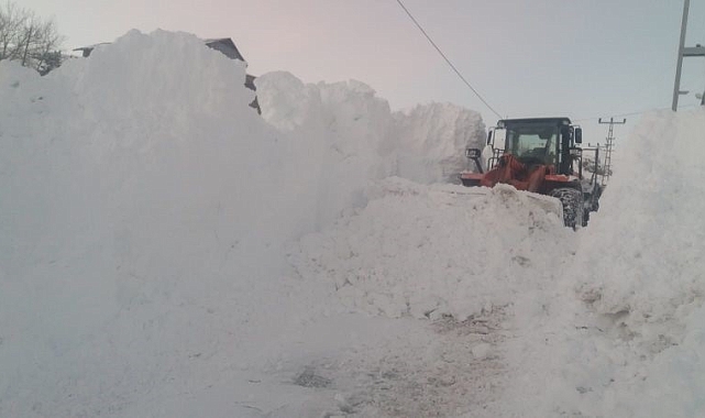 Kar ve tipi Posof'u esir aldı