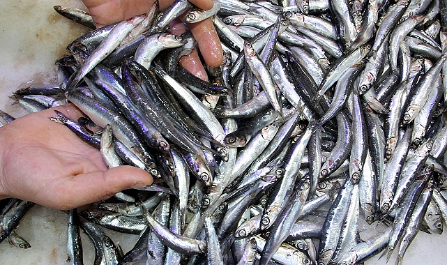 Karadeniz lezzeti Erciş'e taşındı