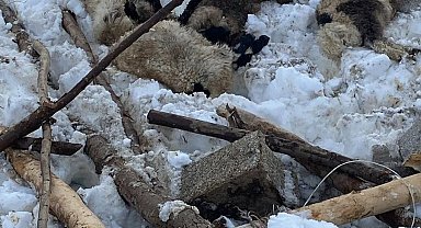 Kardan çöken ahırda 7 küçükbaş hayvan telef oldu