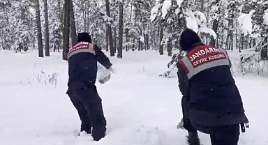 Kars jandarma hayvanlar için harekete geçti