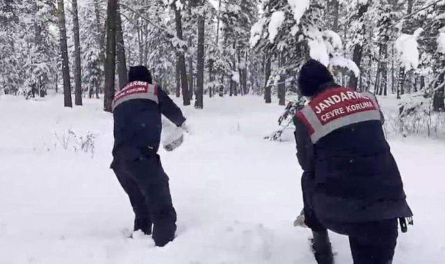 Kars jandarma hayvanlar için harekete geçti