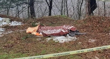 Kestiği ağacın altında kalan işçi feci şekilde can verdi