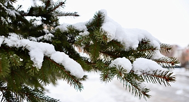 Meteoroloji’den Ağrı için kuvvetli kar yağışı uyarısı