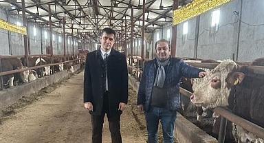 Müdür Hüseyinoğlu'ndan Ağrı'da bulunan hayvan işletmesine ziyaret