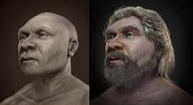 Neandertallerin fiziksel özellikleri nelerdir.?