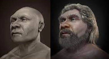 Neandertallerin fiziksel özellikleri nelerdir.?