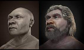 Neandertallerin fiziksel özellikleri nelerdir.?