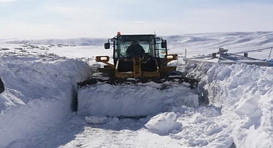 O ilde kar 17 köyün yolunu ulaşıma kapattı