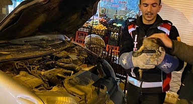 Otomobilin motoruna sıkışan yavru kedi kurtarıldı
