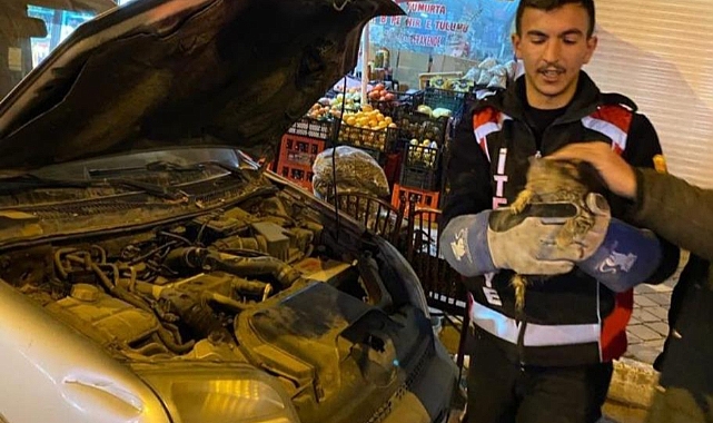 Otomobilin motoruna sıkışan yavru kedi kurtarıldı