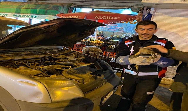 Otomobilin motoruna sıkışan yavru kedi kurtarıldı