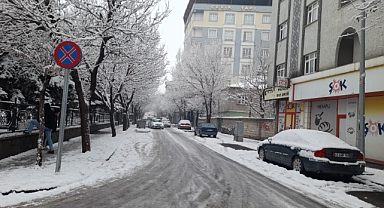 Patnos'ta kar yağışının ardından don etkili oldu