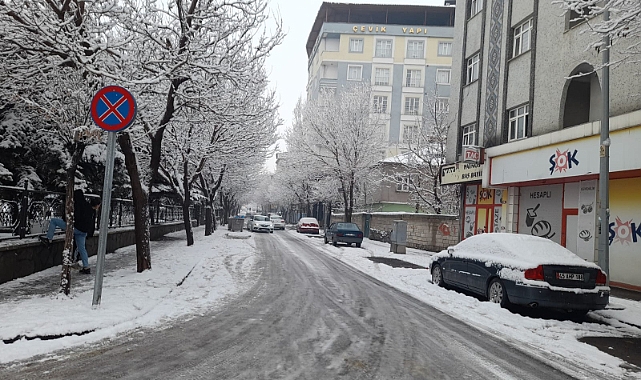 Patnos'ta kar yağışının ardından don etkili oldu