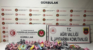 Patnos ve Doğubayazıt'ta operasyon: 7 gözaltı