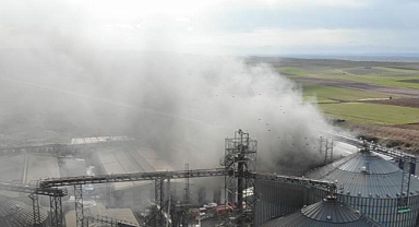 Sıvı yağ fabrikasında yangın