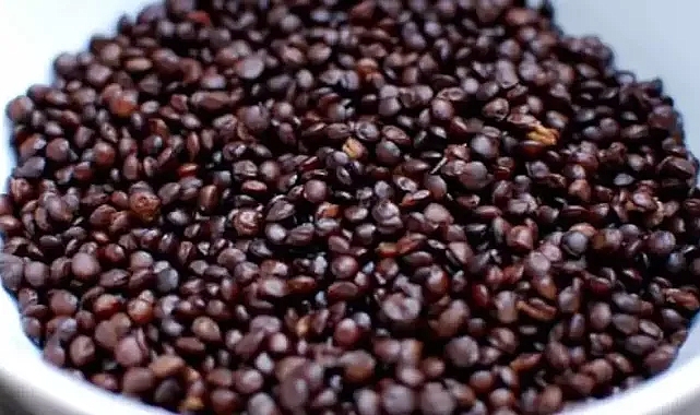 Siyah Mercimeğin Faydaları