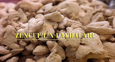 Soğuk havaların panzehiri Zencefil!