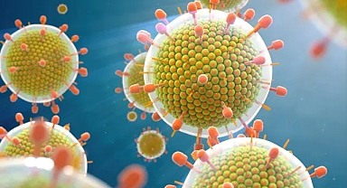 Son günlerde Uzun süre geçmeyen hastalığın sebebi 3 farklı virüs