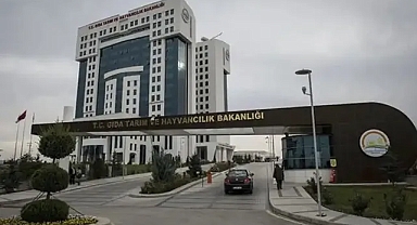 Tarım ve Orman Bakanlığı 5.500 Yeni Personel Alacak