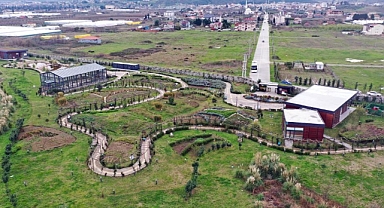 Tıbbı Aromatik Bitkiler Bahçesi’nde ıtır hasadı başladı