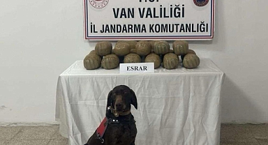 Van'da 50 kişi yakalandı